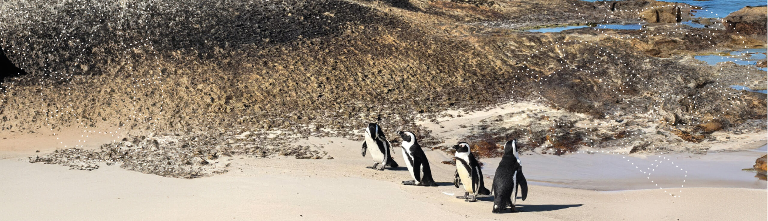 Klub Podróżnika. RPA- wszystkie kolory Afryki.